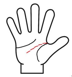 頭脳線がキレギレ