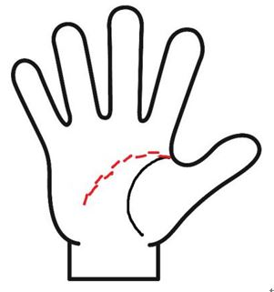 頭脳線の細かく切れている