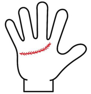 感情線全体の上下に細かい支線