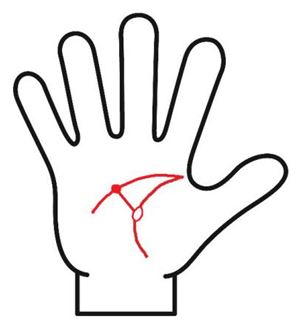 生命線の島から線