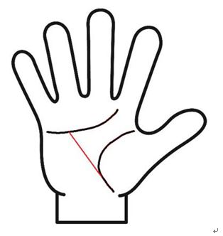 健康線が生命線と感情線を繋いでいる