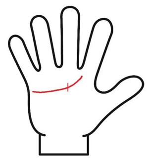 感情線に短い縦線