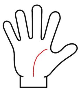 生命線は長いけれどカーブを描かない