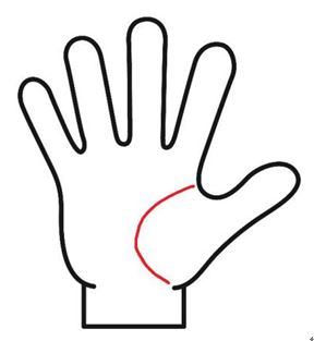 生命線がハッキリとわかり、長くてカーブが大きい