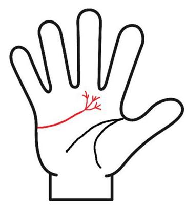 あげまん線が枝分かれ