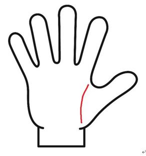 生命線が起点からほぼ真下に向かっている