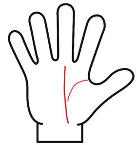 生命線が短く薄いけれど運命線とつながっている