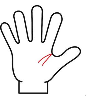 生命性が短いけれど２本ある