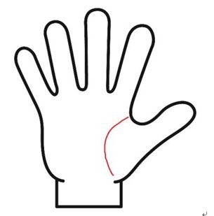 生命線が長いれけど薄く、カーブが小さい