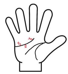 感情線にフィッシュ線がある