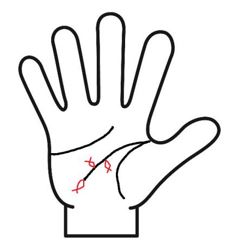 頭脳線にフィッシュ線がある