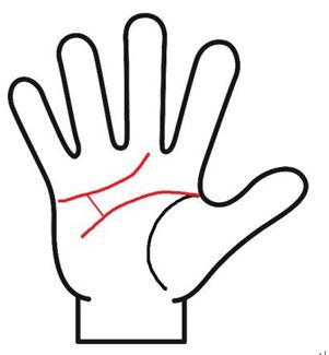 感情線と頭脳線を結ぶ線