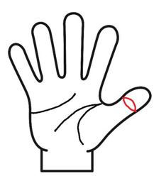 手相の仏眼線とは