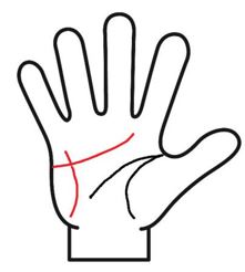 感情線に直感線がある