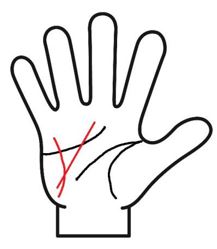 運命線に直感線がある