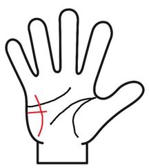 仕事線に直感線がある