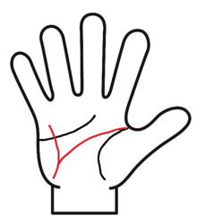 頭脳線に直感線がある